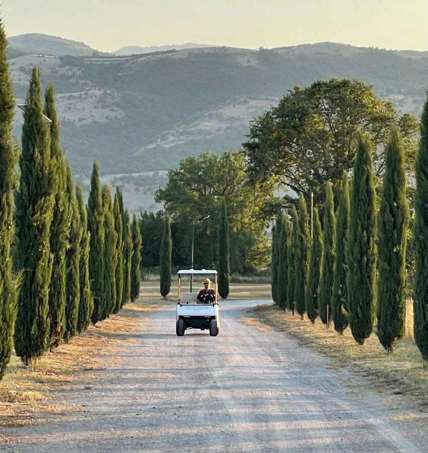Bed and Breakfast Ca' Del Conte Padula Exterior foto