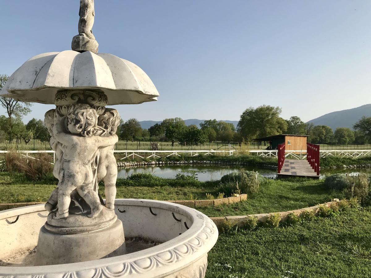Bed and Breakfast Ca' Del Conte Padula Exterior foto