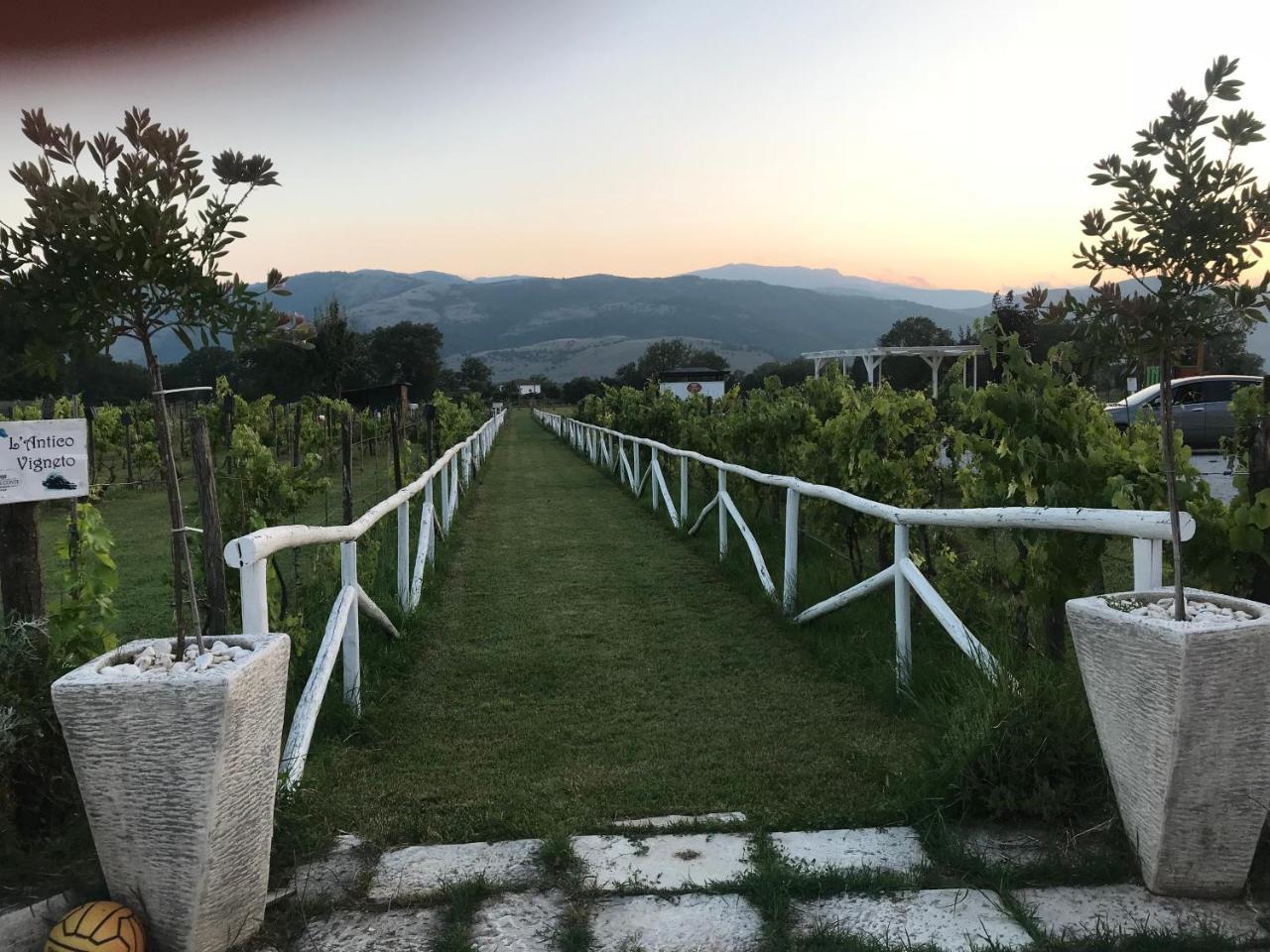 Bed and Breakfast Ca' Del Conte Padula Exterior foto