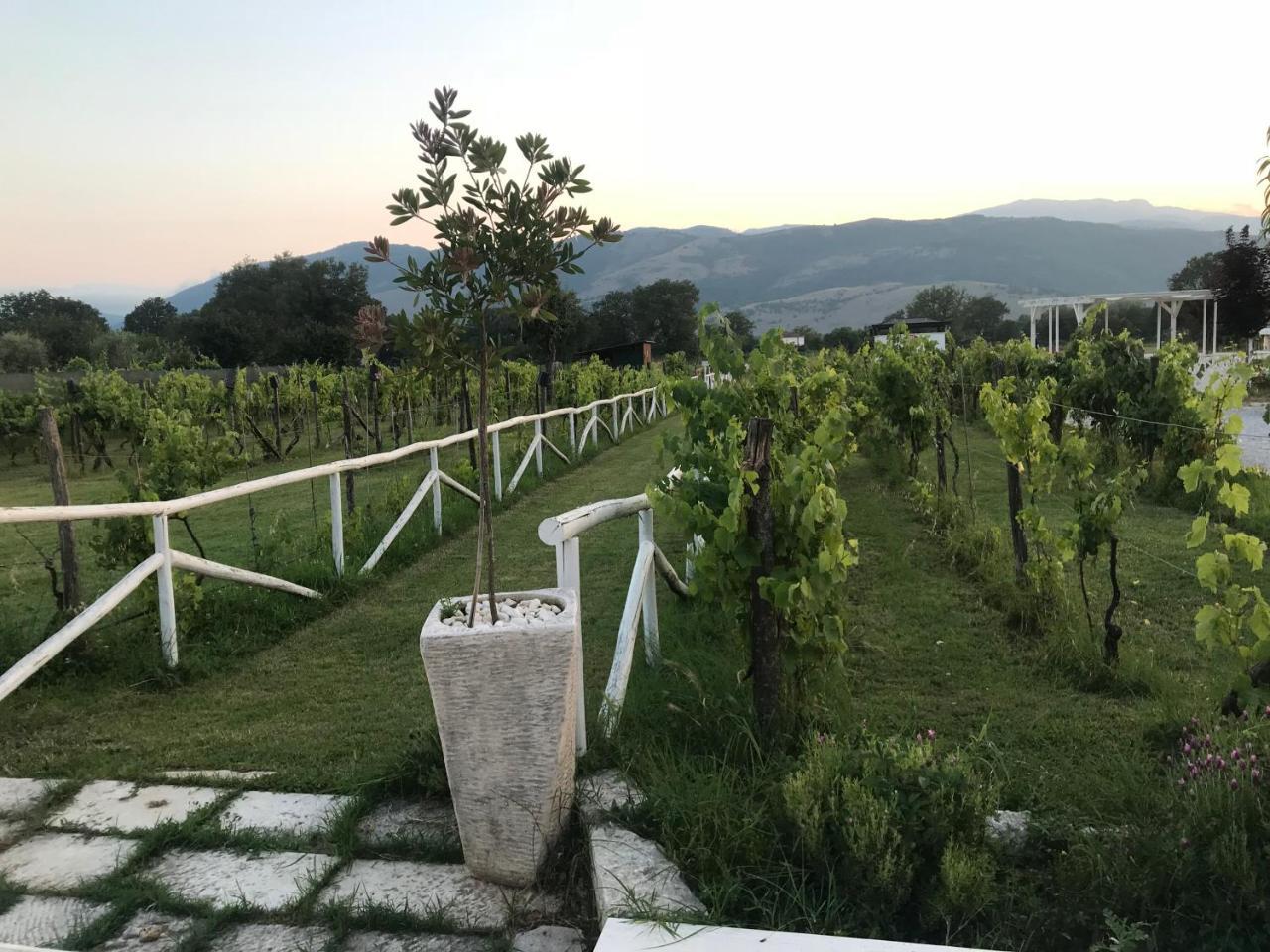 Bed and Breakfast Ca' Del Conte Padula Exterior foto